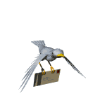 tl_files/Fotos/Allgemein/birds/bird_flying_with_letter_md_wht.gif